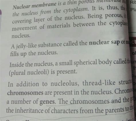 Briefly explain the structure and function of nucleus parts - Brainly.in