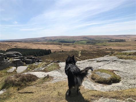 BELLEVER FOREST - FORESTRY ENGLAND (2026) All You Need to Know BEFORE ...