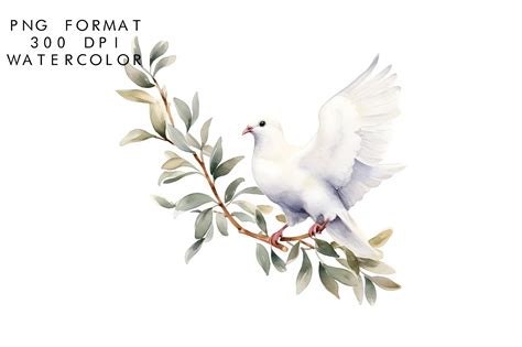 Watercolor Dove Clipart Graphic by WatercolorByKr · Creative Fabrica