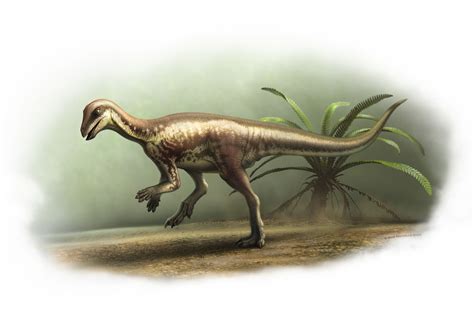 Dinosaur Sporer Barn - species of dinosaurs