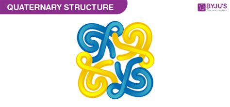 Image result for Protein Structure Types