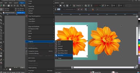Image result for Background Remove in CD-R