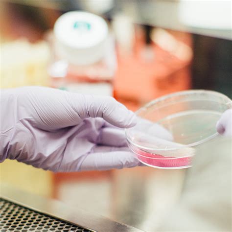 Span Chemie - Laboratory Chemicals, Lab Chemicals, Analytical Reagents ...