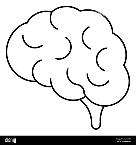 Brain Drawing Easy