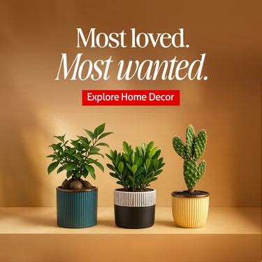 Claymistry: Online Ceramic Shop for Handcrafted Artisanal Products