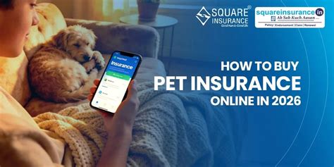 How to Buy Pet Insurance Online in 2026