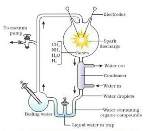 State the views of Oparin and Haldane on evolution. How does SL Millers ...