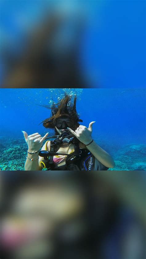 Ultimate guide to discovery cove discounts and coupons – Artofit