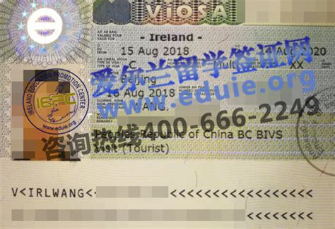 恭喜兆龙帮王同学成功获得爱尔兰旅游签证 - 兆龙留学