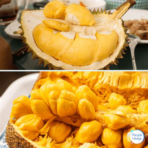 Jackfruit Versus Doerian Durian Vs Jackfruit: What's The Difference?