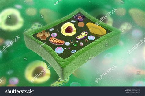 Light Microscope Micrograph 的图像结果