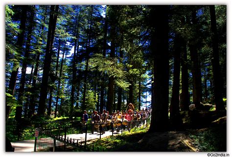 go2india.in : Processions carrying village goddess entering Hidimba ...