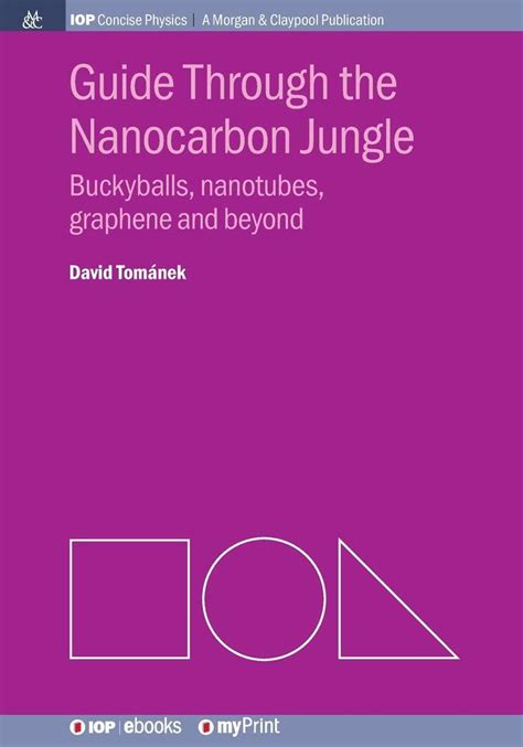Guide Through the Nanocarbon Jungle: Buckyballs, nanotubes, graphene ...