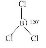 The species, having bond angles of 120° is - Tardigrade