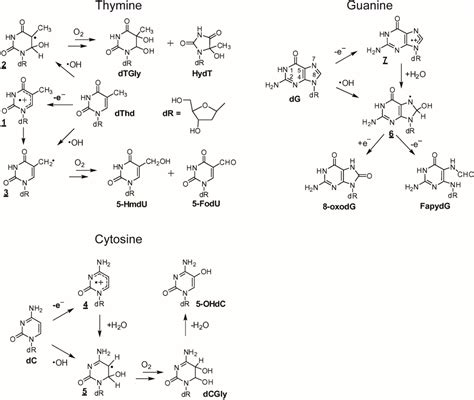 IJMS | Special Issue : DNA Damage and Repair in Degenerative Diseases 2014