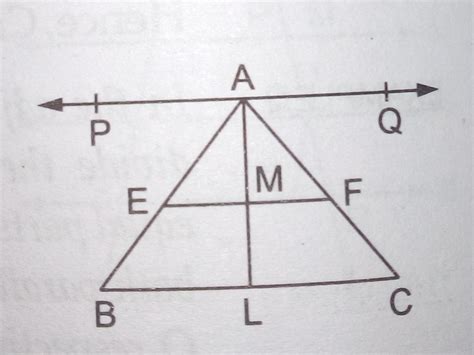 [tex] \large \textbf {Maths \: Question} [/tex]1) Prove that any line ...