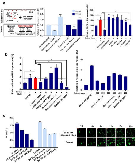 Anti-Irritant Strategy against Retinol Based on the Genetic Analysis of ...