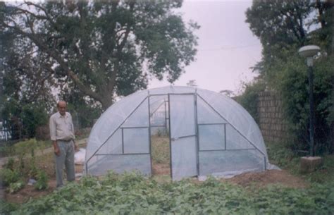 Green House Propagation