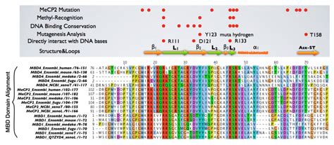 Cancers | Special Issue : Cell Death and Cancer
