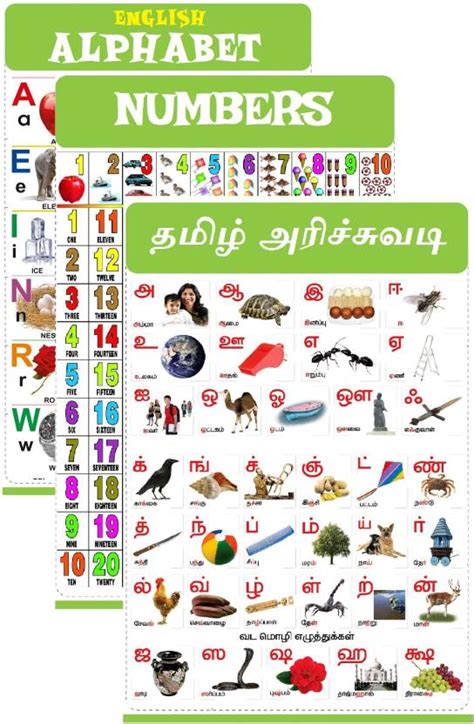 Tamil Arichuvadi Chart for Kids 47x65 cm Mega Size (3 Charts ...
