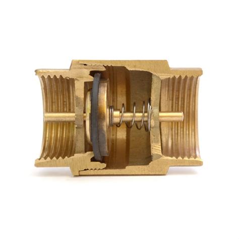 Image result for Spring Loaded in Line Check Valve