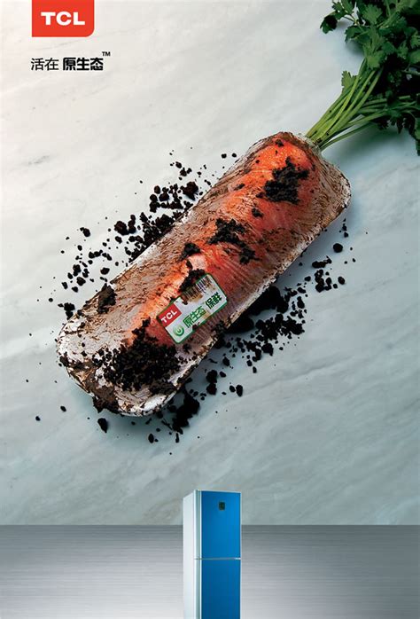 TCL家庭电器原生态冰箱平面广告（1）---创意策划--平面饕餮--中国广告人网站Http://www.chinaadren.com