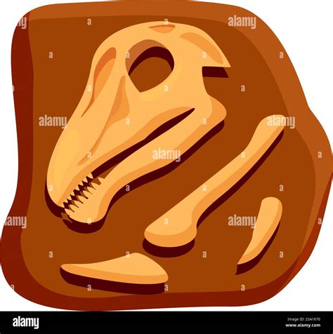 Head bones dinosaur icon cartoon vector. Stone fossil. Nature mud layer. Head bones dinosaur ...