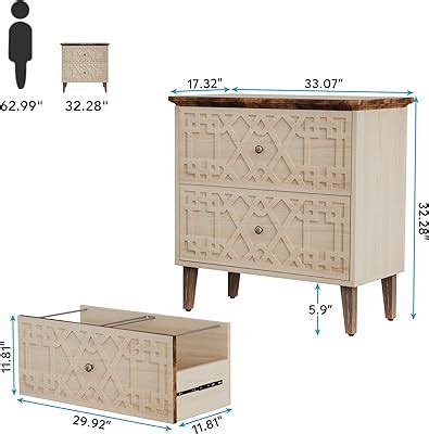 Tribesigns 2 Drawer Lateral File Cabinet, Office India | Ubuy