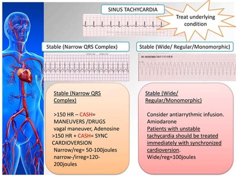 Image result for Code Blue Management PDF