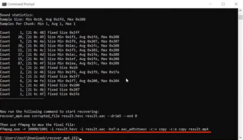 Recover MP4 File 的图像结果