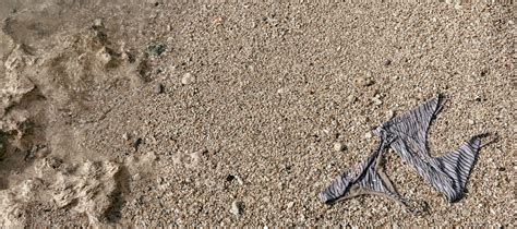 Pool Cleaning Tips Bikini 的图像结果