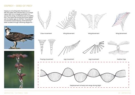 ALOFT - Watchtower at Kadiya Dhro | CEPT - Portfolio