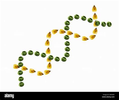 Genetic Engineering Process 的图像结果