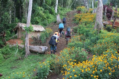 Papua New Guinea Tourism (2024): All You Need to Know Before You Go