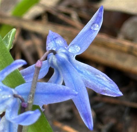 Image result for Fresh Spring Weather