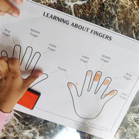 Teach finger names to kids - Free Worksheet - KuriousMom