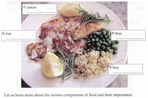 Image result for Paste Pictureof Components of Food Class 6