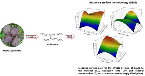 Rapid High Performance Liquid Chromatography Determination and ...