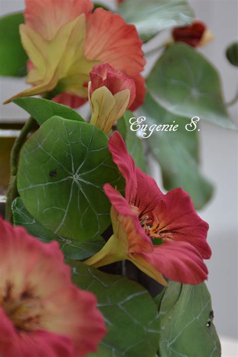 Image result for Sugar Paste Flower Tutorial