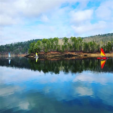 Lake Ouachita Party Cove