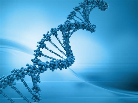 3D动画演示DNA之旅：基因的表达-转录和翻译_腾讯视频