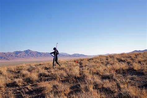 For the Plot: Soil Samples, Plant Surveys, and New Adventures - The ...