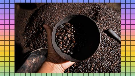 Image result for First Name of Java Programming Language