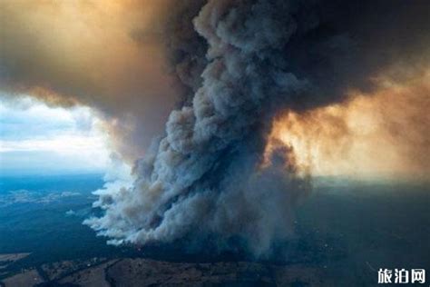 2020澳大利亚山火持续蔓延 2万只考拉死亡_旅泊网