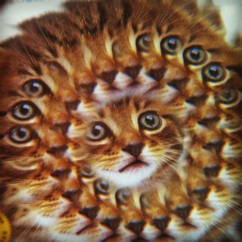 Lost Tapes Creatures 的图像结果