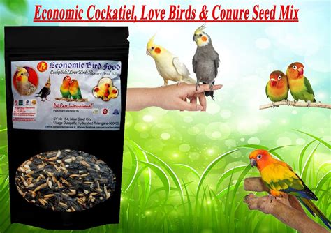 Buy Pet Care International (PCI) Economic Cockatiels, Love Birds ...