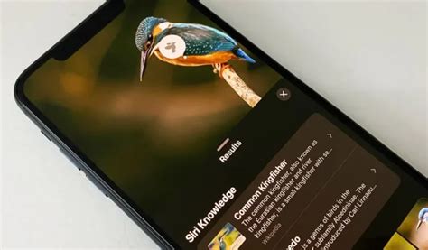 Su iPhone puede escanear imágenes, identificar y mostrar información ...