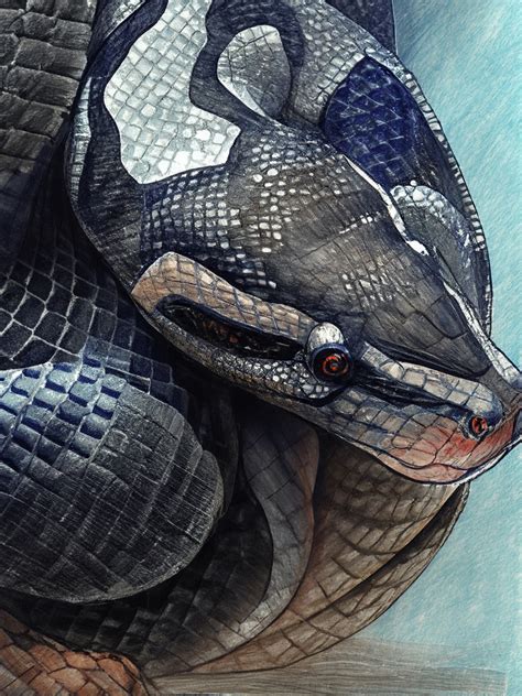 Python Snake Moving 的图像结果