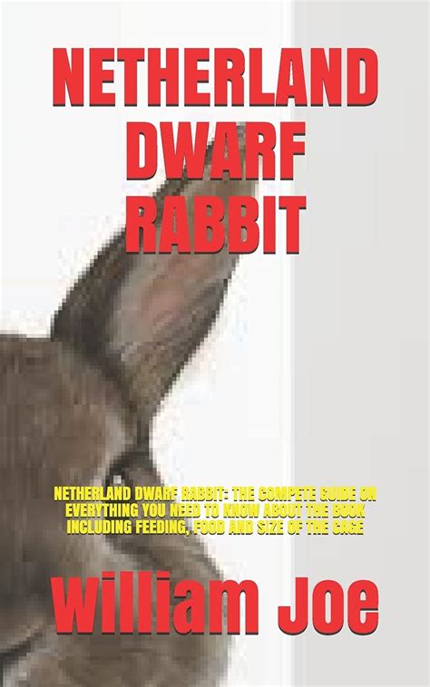 Buy Netherland Dwarf Rabbit: Netherland Dwarf Rabbit: The Compete Guide ...