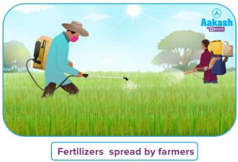 Hydrolysis of Salt of Strong Acid and Weak Base | AESL